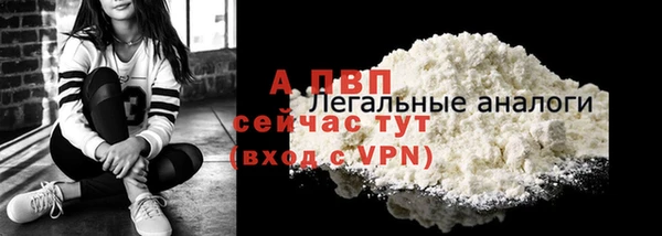 apvp Алексин