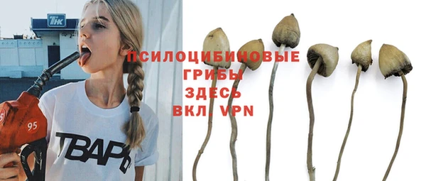 амф Алзамай