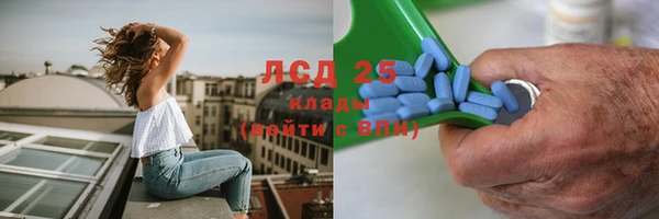 амф Алзамай