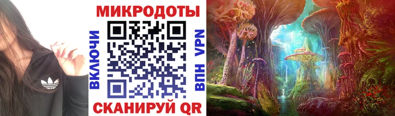 Псилоцибиновые грибы прущие грибы купить закладку Бугуруслан